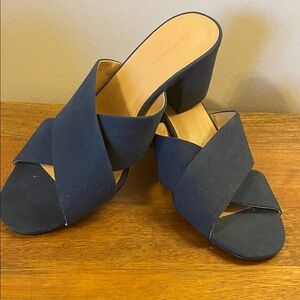 Banana Republic Navy Mules